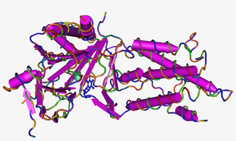 3lfm Fat Mass And Obesity Associated Protein - Fto Protein, transparent png #7880576