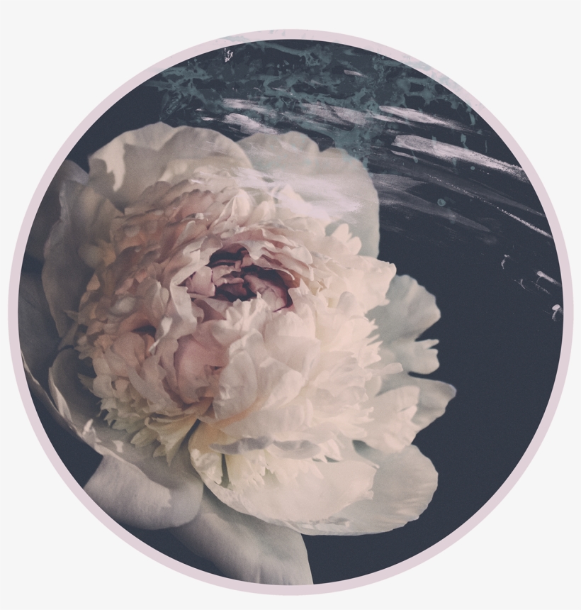 Save To Collection - Common Peony, transparent png #7880785