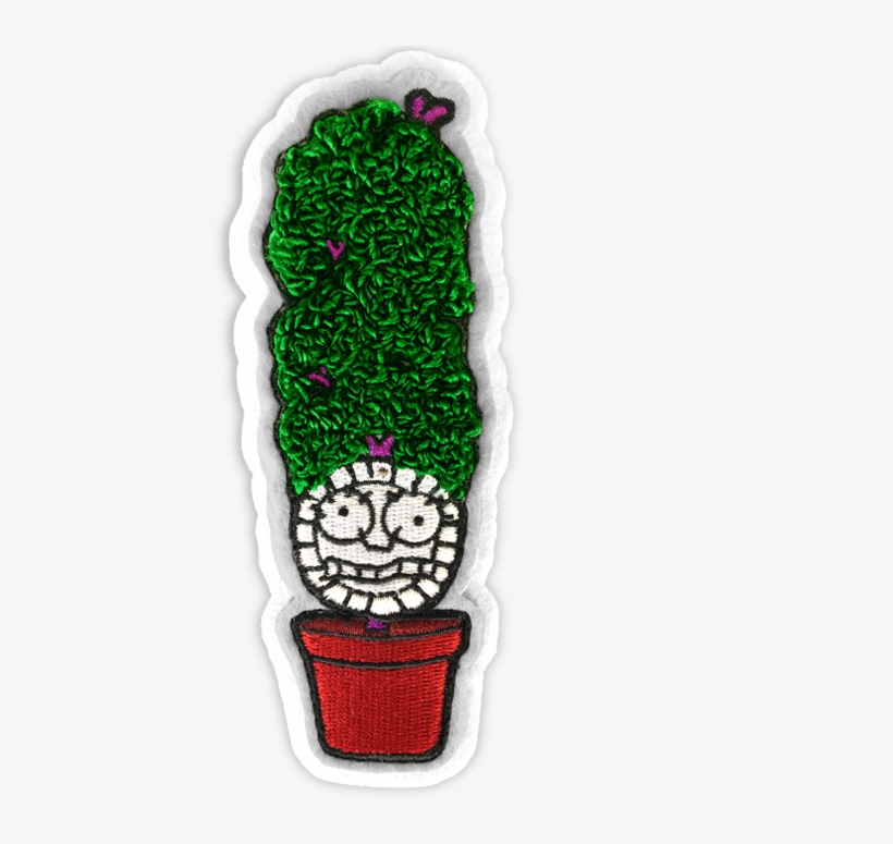 Grass, transparent png #7881757