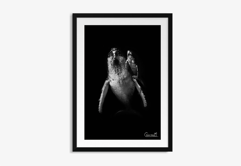 Raw Edge Photo Frames Junior - Picture Frame, transparent png #7882061