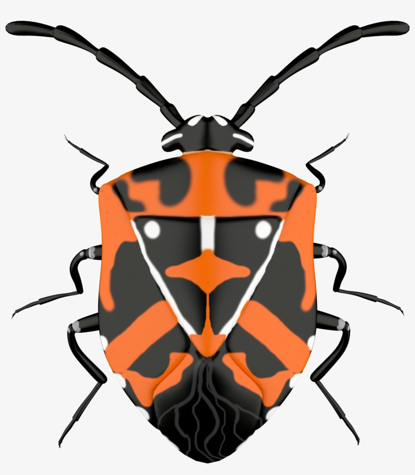 Http - //www - Moveslikenature - Com/wp-content/uploads/ - Red Bugs, transparent png #7882326