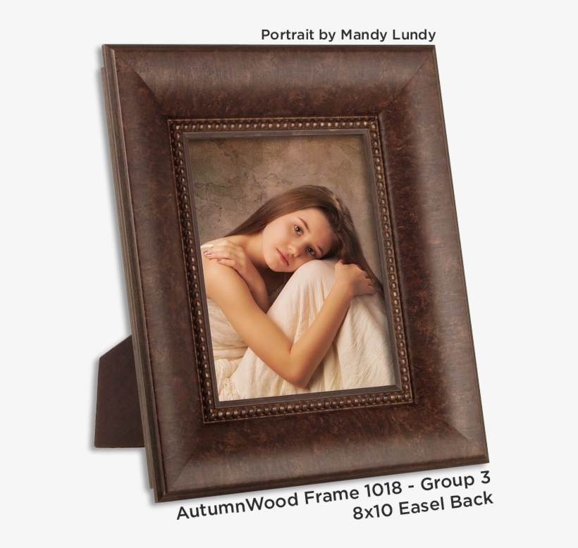 Easel Back Frames You Asked For It, You Got It We Offer - Picture Frame, transparent png #7882585