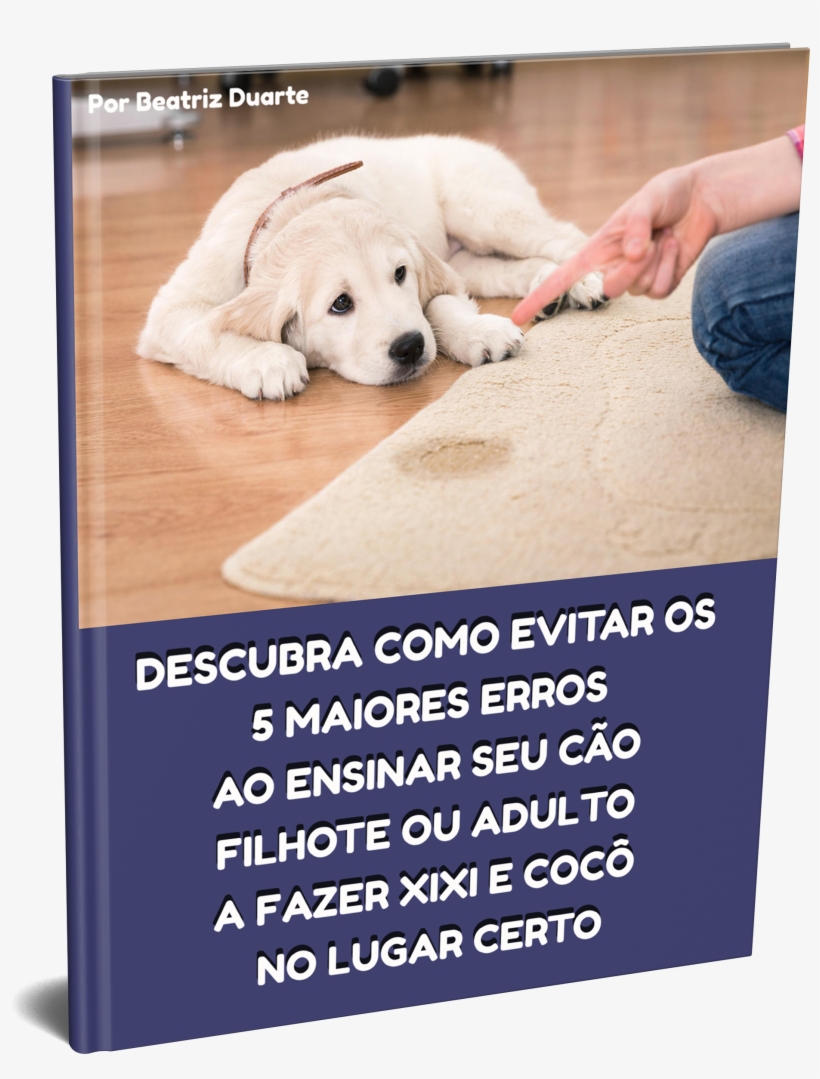 Nome Do Arquivocapa Fundo Transparente - Puppy, transparent png #7883191