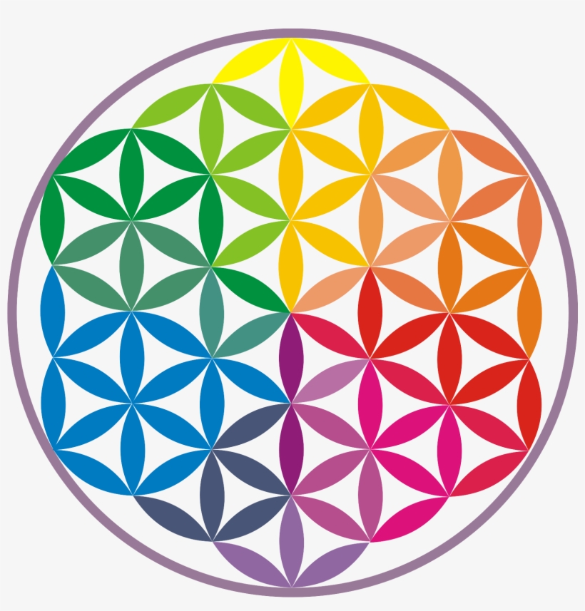 Logo Flor Da Vida Colorida Fundo Transparente - Flower Of Life, transparent png #7883894