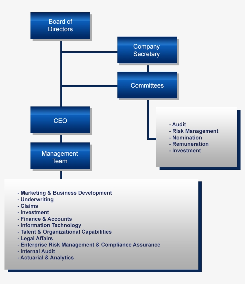 Organization Structure - Organisational Structure Of Insurance Company, transparent png #7884683