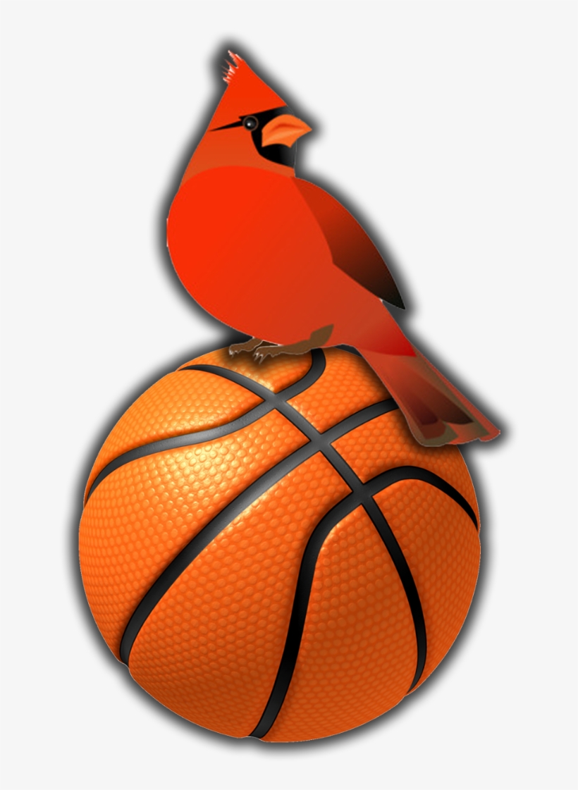 The Woodlawn High School Cardinals Will Be Playing - Mario Sports Mix Basketball, transparent png #7885420