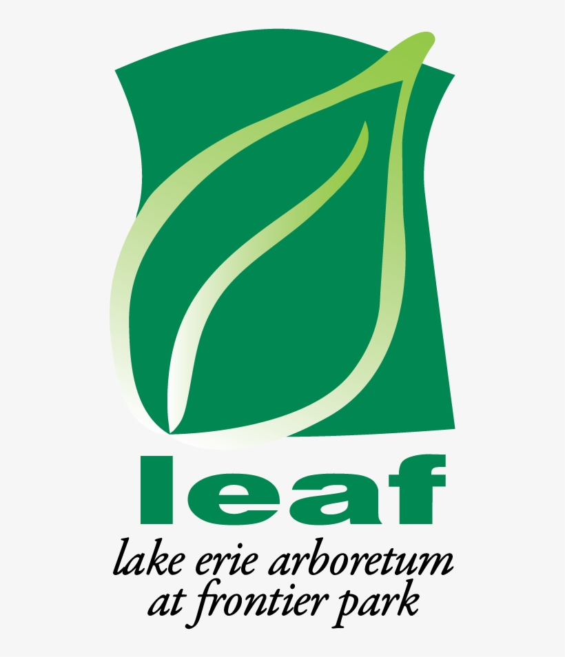 Frontier Park's Nonprofit Partner - Pacific Datacom, transparent png #7885655