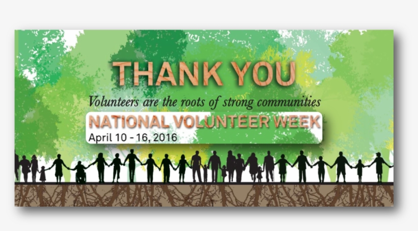 Volunteer Opportunities - Online Advertising, transparent png #7885894