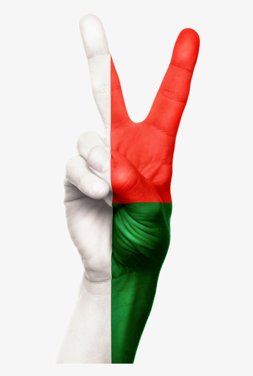 Latex, transparent png #7886432