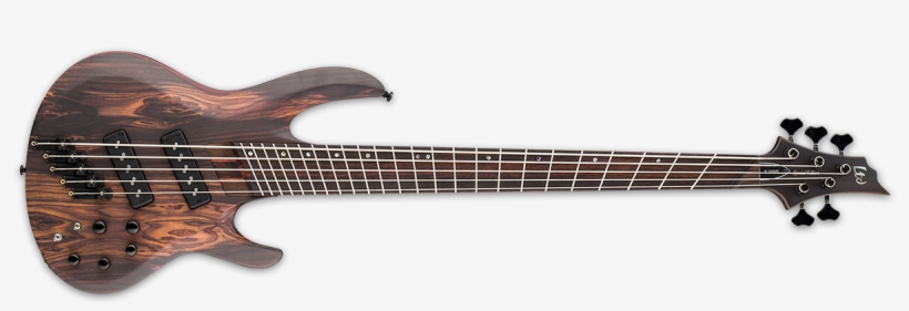 Ltd B 1005se Multi Scale - Ibanez Gsr250b Wnf, transparent png #7887867