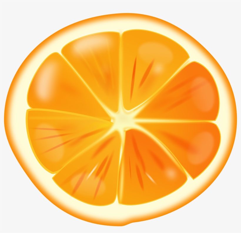 Orange Clip Art Orange Fruit 2104 1927 Transprent Png - Orange During Pregnancy, transparent png #7889476