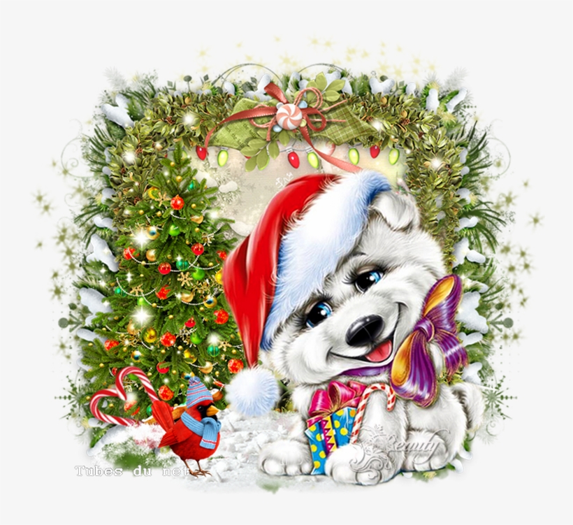 Répondre - Christmas Day, transparent png #7889890