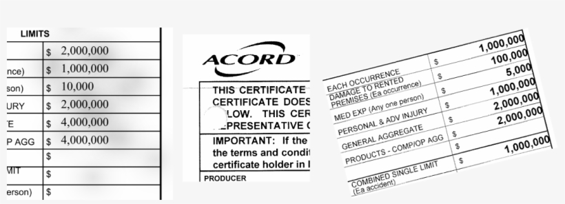 Torvacode Software Uses Several Techniques To Deal - Document, transparent png #7890429