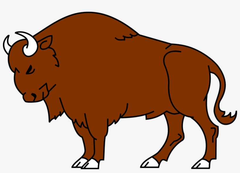 Bison Animal Wild Free Vector Graphic On, transparent png #7891013
