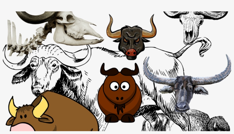 The Story Of Buffalo Buffalo Buffalo Buffalo Buffalo - Clip Art, transparent png #7891334