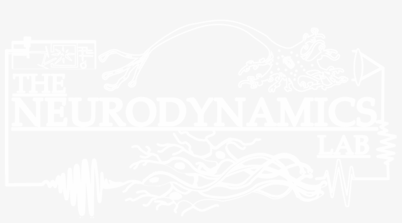 Logo - " - Graphic Design, transparent png #7891412