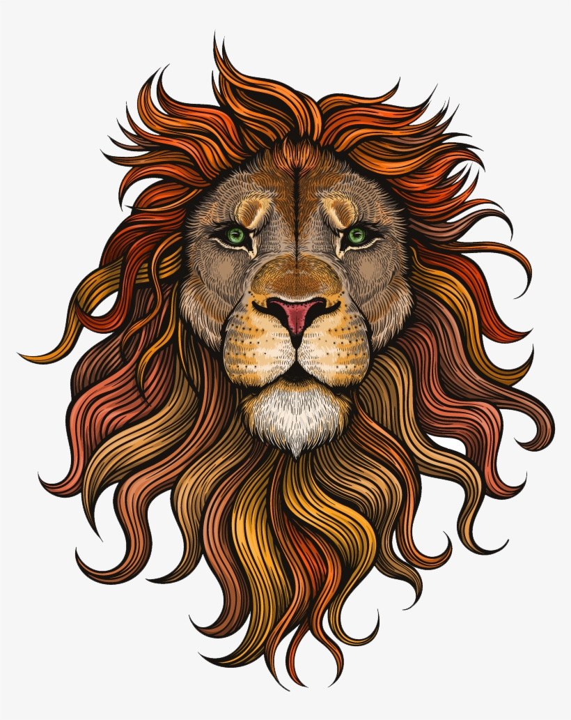 Lion Png - Vector Color Lion, transparent png #7893588