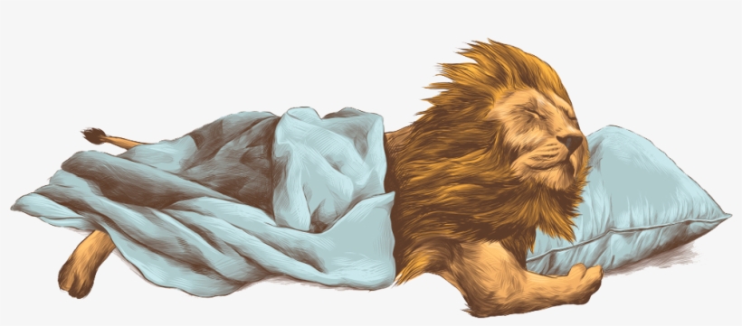 Lion Png - Lion Sleeping Cartoon, transparent png #7893696