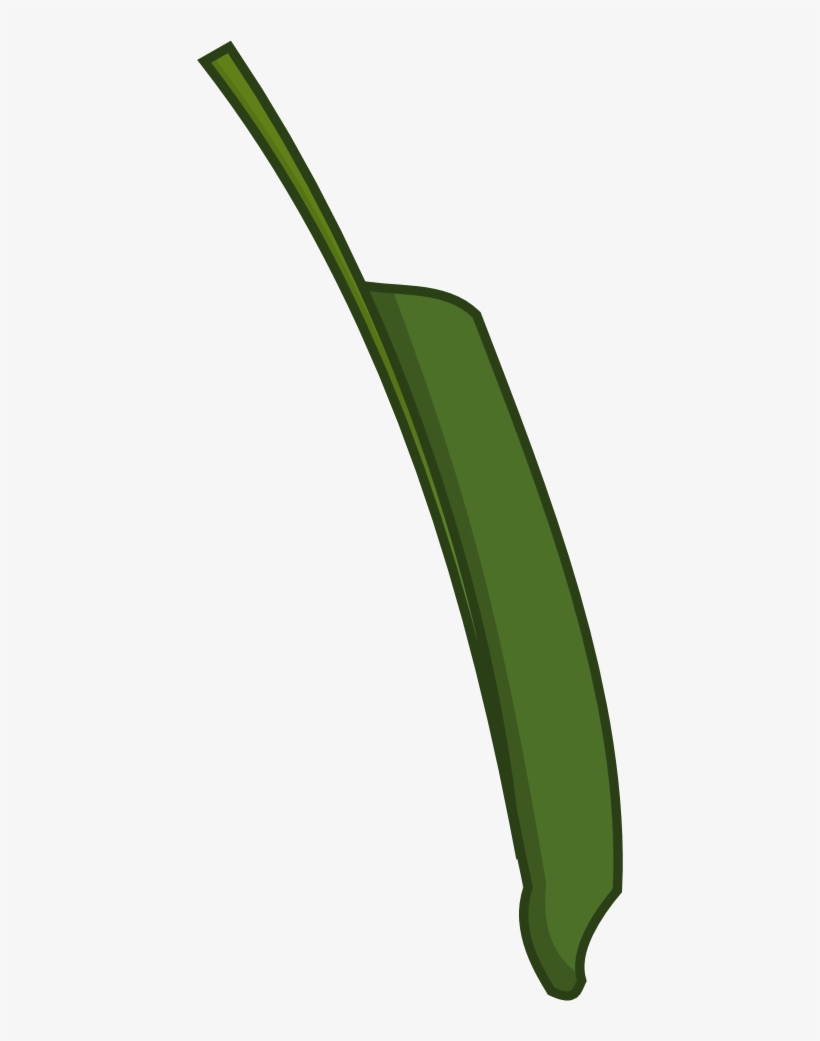 Crane Flower, transparent png #7893926