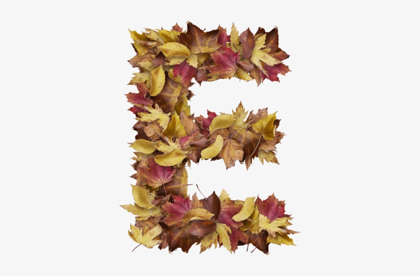 Letter E From Dry Leaves - Prince Of Wales Feathers, transparent png #7894155