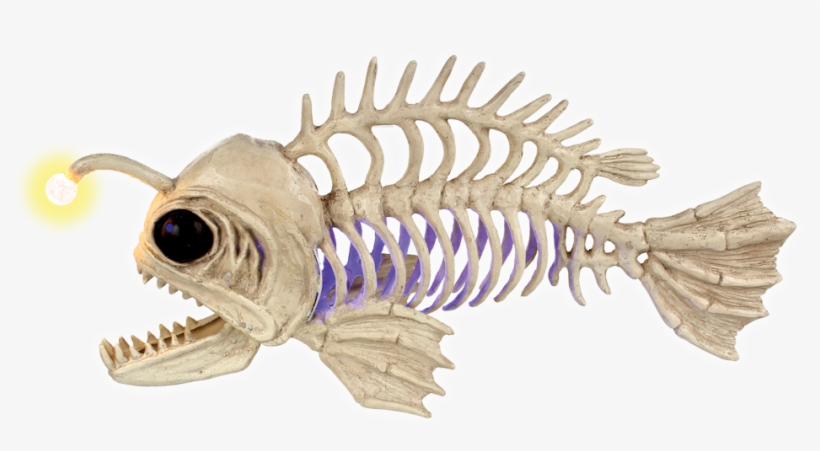Light Up Deep Sea Fish - Seahorse, transparent png #7894734