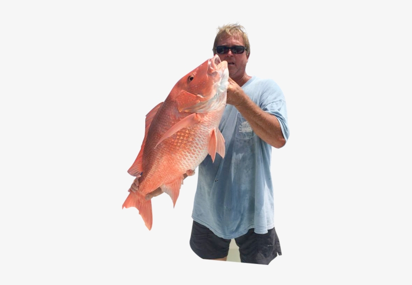 Port Canaveral And Nearby Sebastian Inlet Allow Access - Red Snapper, transparent png #7894782