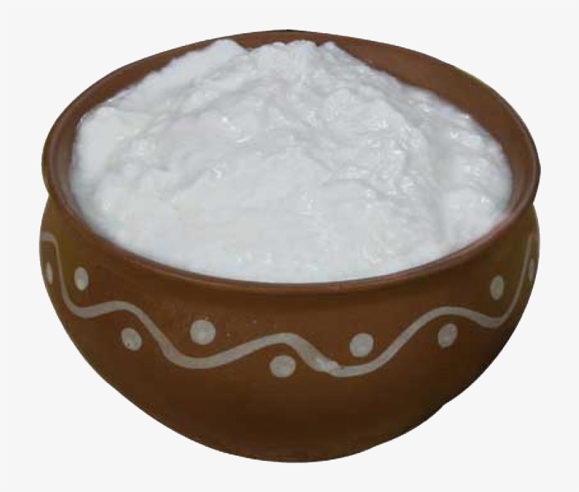 Dahi Curd Yogurt - Milk Dahi, transparent png #7895229