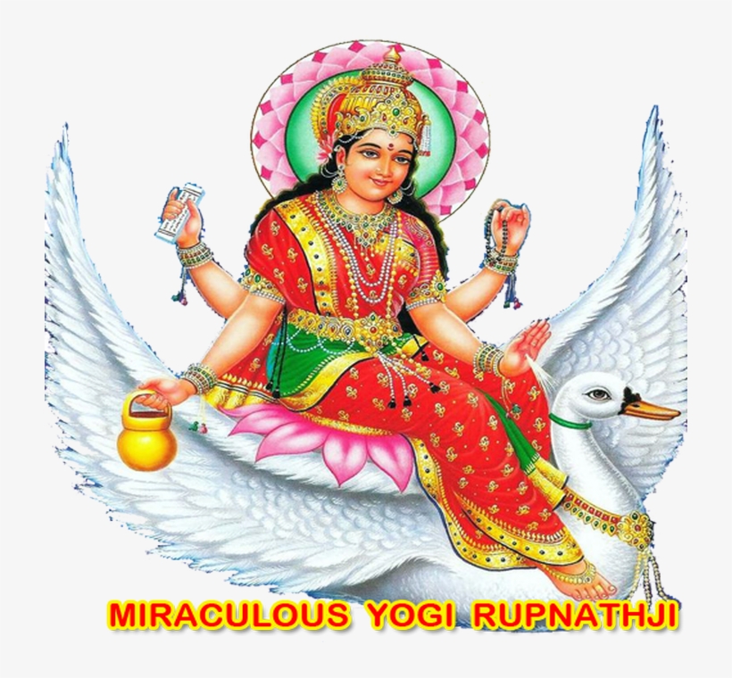 Worlds No 1 Vastu Expert - Art, transparent png #7896134