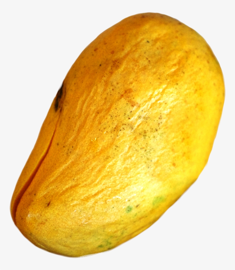 Overripe Ataulfo Mangos Should Be Rejected - Overripe Mango, transparent png #7896288