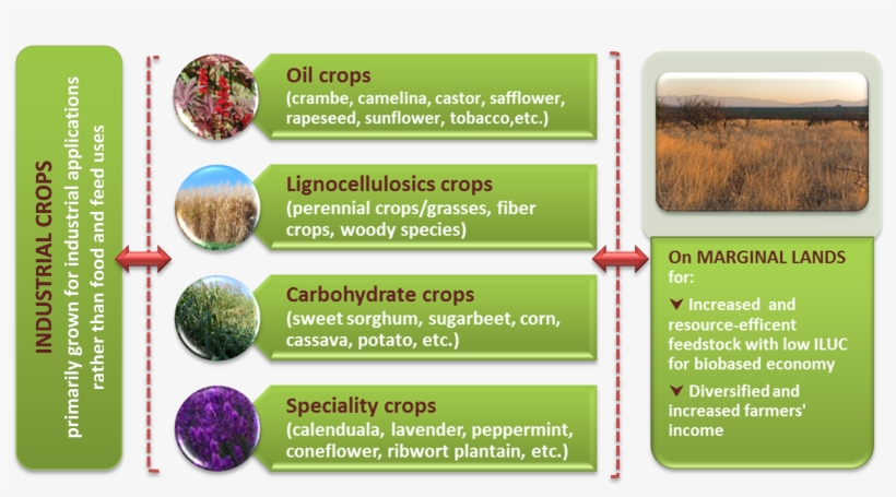 Figure 1 Magic Explores The Cultivation Of Industrial - Parallel, transparent png #7896297