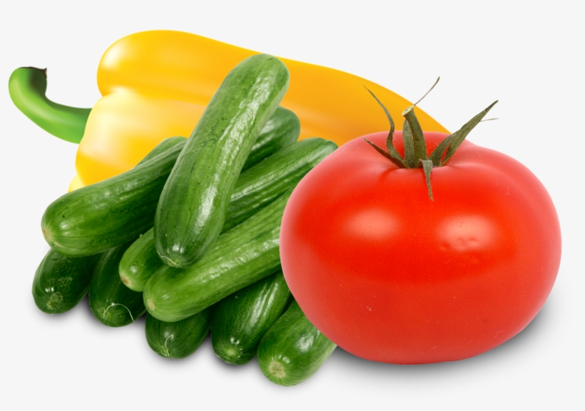 Drygair Is A Useful Growing Tool For A Variety Of Crops - Transparent Background Cucumber Png, transparent png #7896421