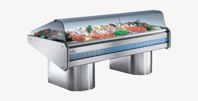 Banner Transparent Library Fish Counters Refrigerated - Fish Fridge, transparent png #7896719