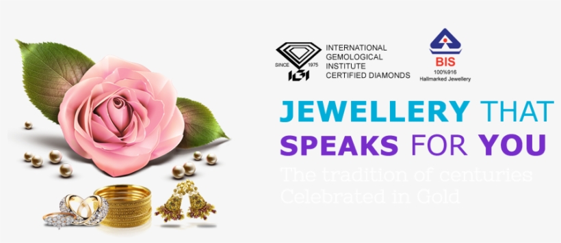 Next - Icons, transparent png #7896988