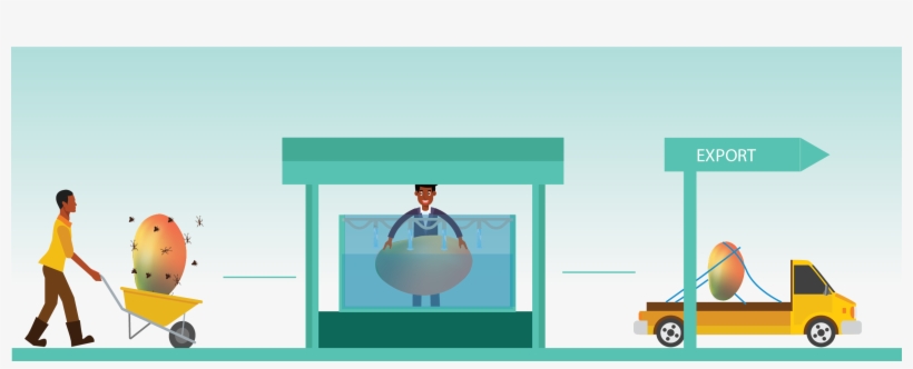 Promotion Of Postharvest Disinfestation Of Key Horticultural, transparent png #7897119