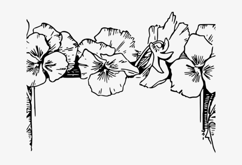Flowers Borders Clipart Outline - Clipart Floral Border Black And White, transparent png #7897222