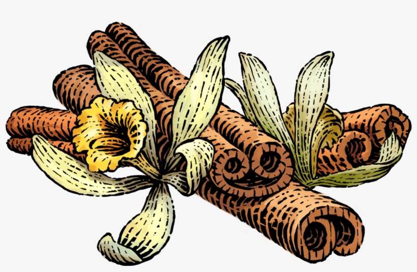 Transparent Stock Siggi S Icelandic Style Yogurt Skyr - Siggi's Yogurt Vanilla Cinnamon, transparent png #7898520