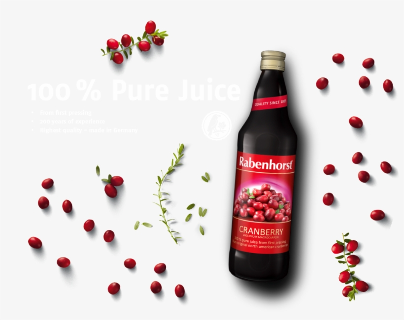 Lingonberry, transparent png #7898773