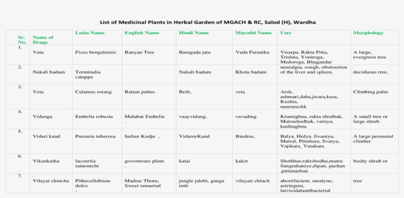 List Of Medicinal Plants In Herbal Garden Of Mgach - Document, transparent png #7899016