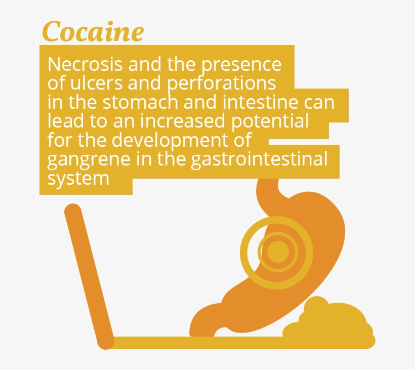 Cocaine Use And Stomach-issues - Quotes, transparent png #790022