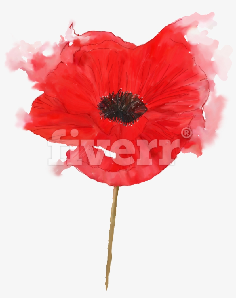 Birth Flower, transparent png #790216