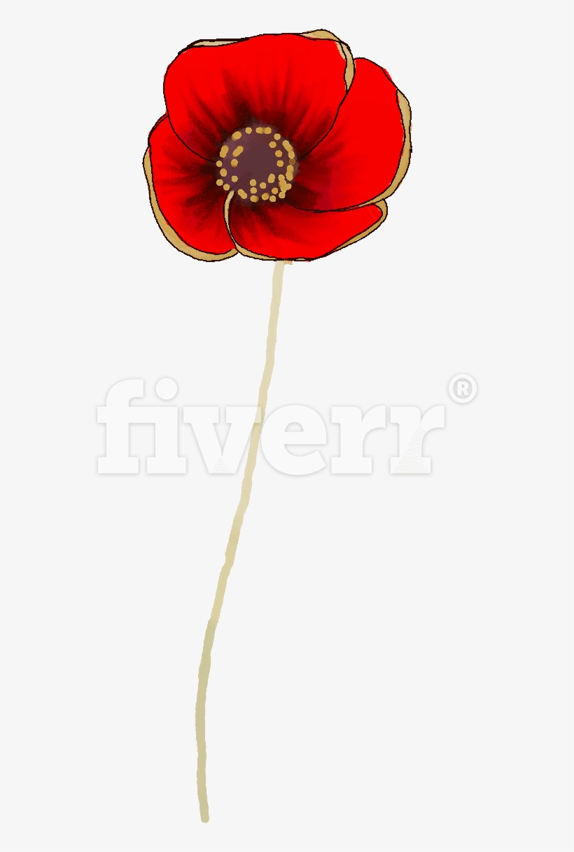 Photograph, transparent png #790271
