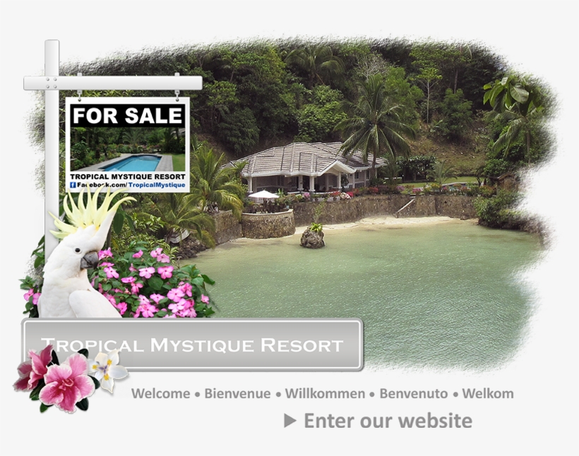 Welcome To The Tropical Mystique Resort - Tropical Mystique Resort, transparent png #791305