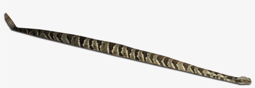 Timber Rattlesnake - Strap, transparent png #791873