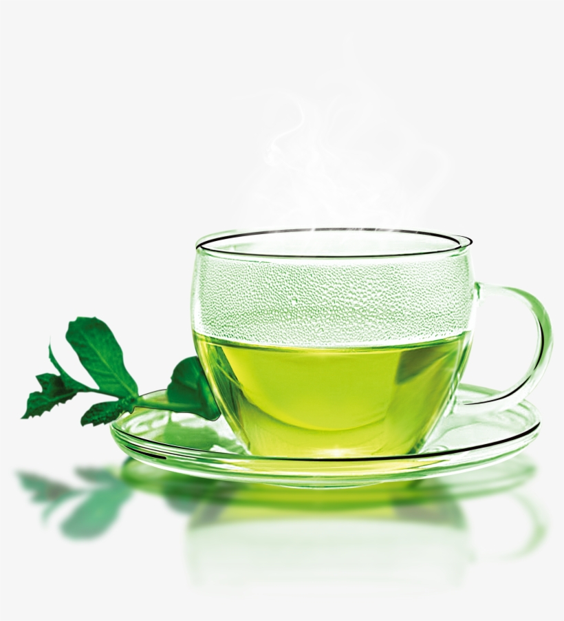 Green Tea Coffee Longjing Tea Teacup - Youlanda Tea Infuser, Stainless Steel Tea Strainer, transparent png #791918