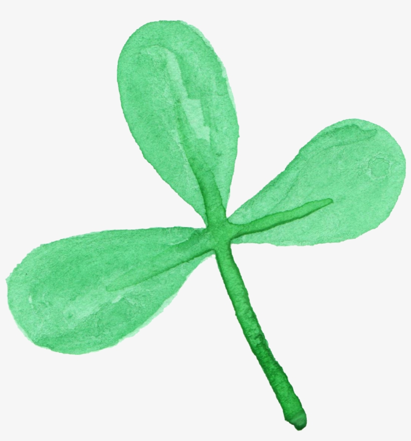 Free Download - Portable Network Graphics, transparent png #792170