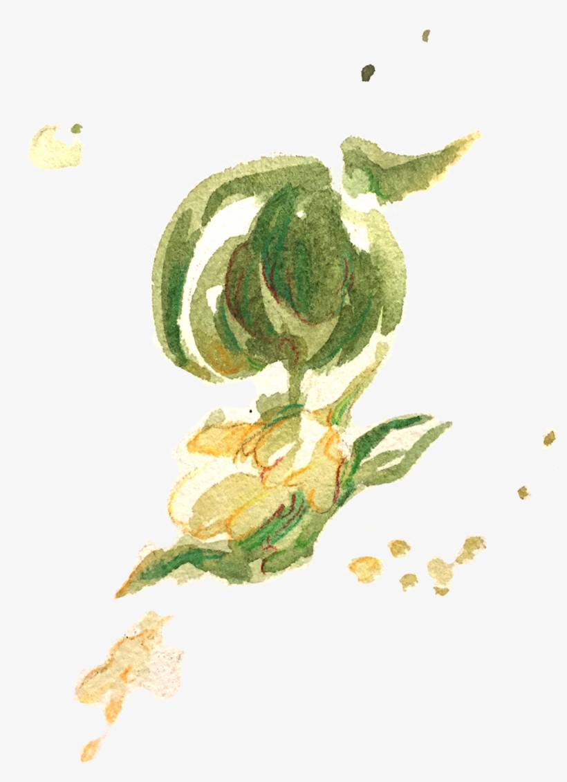 A Preview Of My Tea Leaves Study For A Zine Called - Garden Roses, transparent png #792188