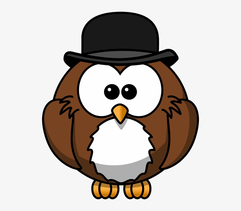 Owl, Animal, Bird, Bowler, Chaplin, Derby, Funny, Hat - Cartoon Owl Shower Curtain, transparent png #792291