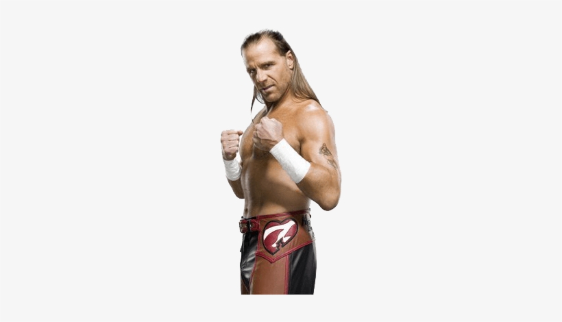 Shawn Michaels Fighting - Shawn Michaels Png, transparent png #792311