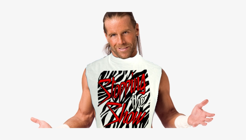 More Like Shawn Michaels In My Shirt By Kidsleykreations - Sean Michaels Wwe Now, transparent png #792439