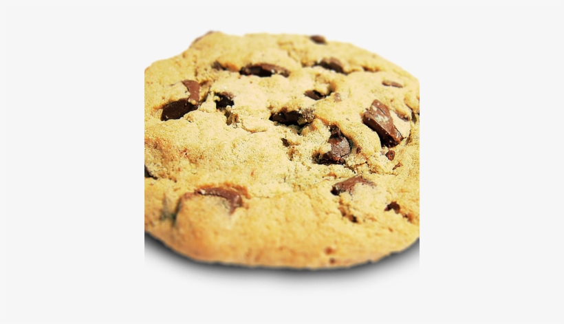 Miłosz @cookieburra@chaos - Social - Cookies Security, transparent png #793590